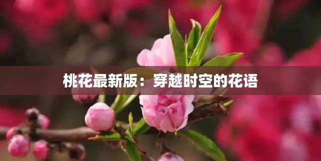 桃花最新版:穿越时空的花语