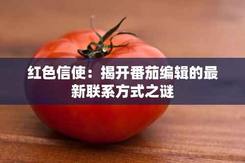 红色信使:揭开番茄编辑的最新联系方式之谜