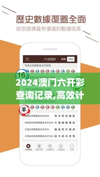 2024澳门六开彩查询记录,高效计划设计_移动版156.629-6