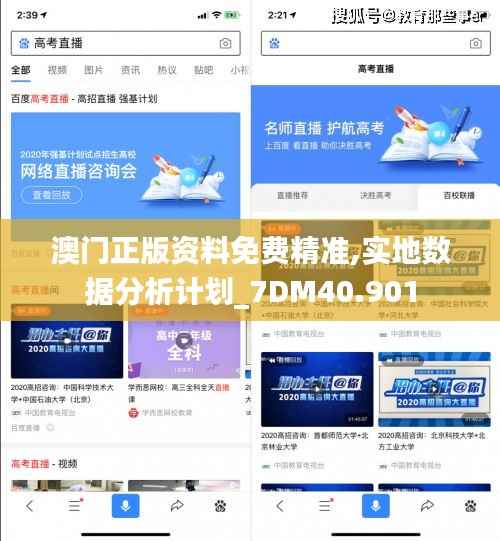 澳门正版资料免费精准,实地数据分析计划_7DM40.901