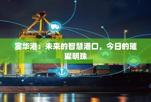 窦华港：未来的智慧港口，今日的璀璨明珠