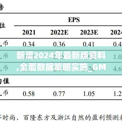 新澳2024年最新版资料,全面数据策略实施_GM版35.627