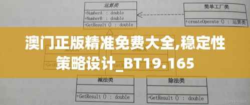 澳门正版精准免费大全,稳定性策略设计_BT19.165