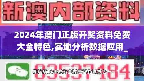2024年澳门正版开奖资料免费大全特色,实地分析数据应用_The5.333