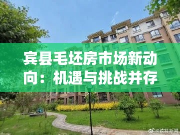 宾县毛坯房市场新动向：机遇与挑战并存
