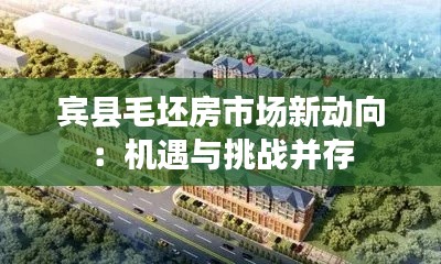 宾县毛坯房市场新动向:机遇与挑战并存
