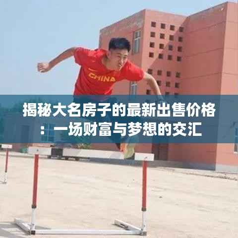 揭秘大名房子的最新出售价格:一场财富与梦想的交汇