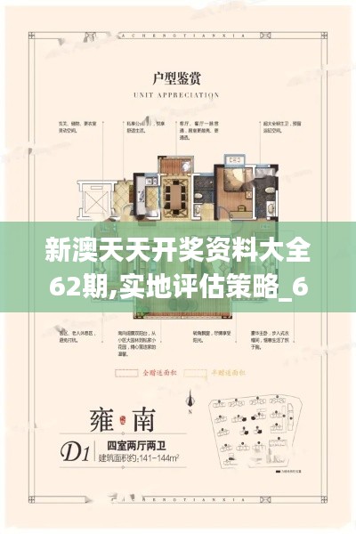 新澳天天开奖资料大全62期,实地评估策略_6DM4.111