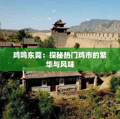 鸡鸣东莞：探秘热门鸡市的繁华与风味