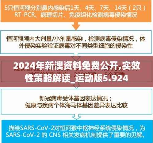 2024年新澳资料免费公开,实效性策略解读_运动版5.924
