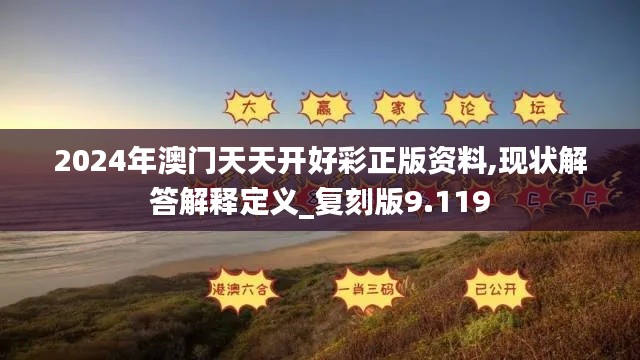 2024年澳门天天开好彩正版资料,现状解答解释定义_复刻版9.119