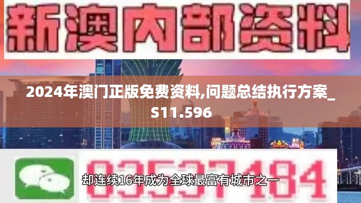 2024年澳门正版免费资料,问题总结执行方案_S11.596