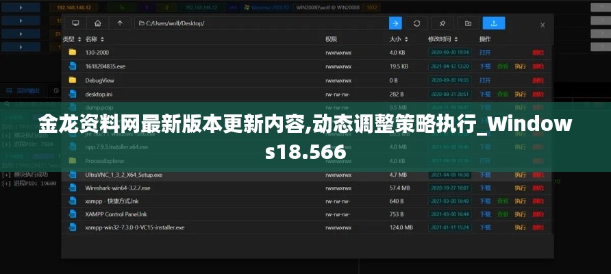 金龙资料网最新版本更新内容,动态调整策略执行_Windows18.566