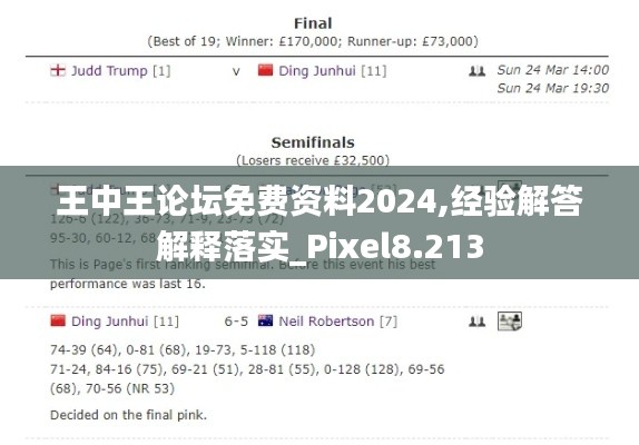 王中王论坛免费资料2024,经验解答解释落实_Pixel8.213