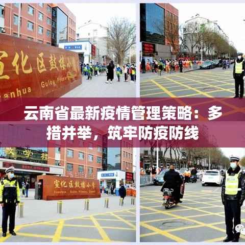 云南省最新疫情管理策略:多措并举,筑牢防疫防线