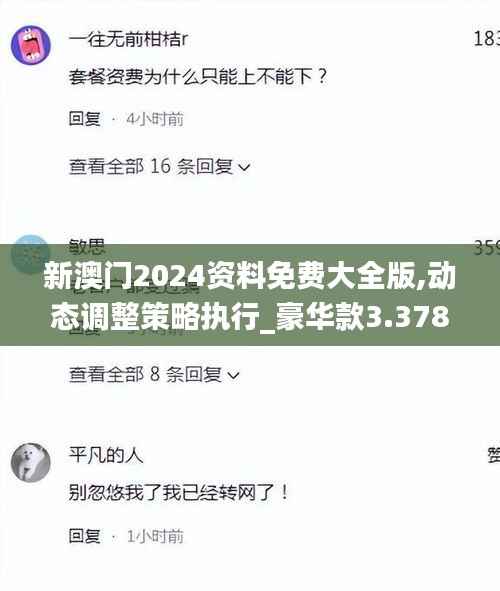 新澳门2024资料免费大全版,动态调整策略执行_豪华款3.378