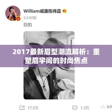 2017最新眉型潮流解析:重塑眉宇间的时尚焦点