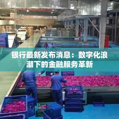 银行最新发布消息:数字化浪潮下的金融服务革新