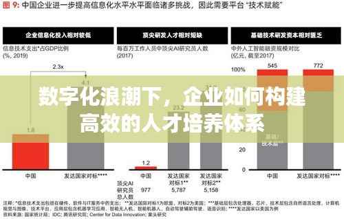 数字化浪潮下，企业如何构建高效的人才培养体系
