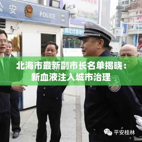 北海市最新副市长名单揭晓:新血液注入城市治理