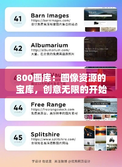 800图库:图像资源的宝库,创意无限的开始