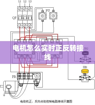 电机怎么实时正反转接线