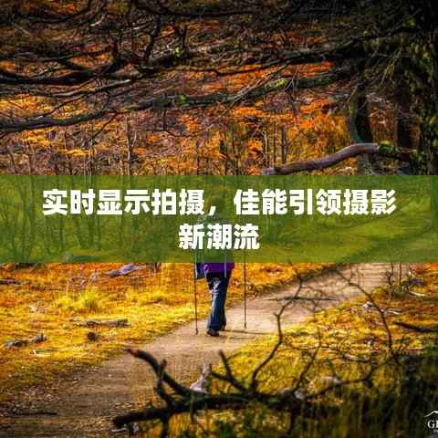 实时显示拍摄,佳能引领摄影新潮流