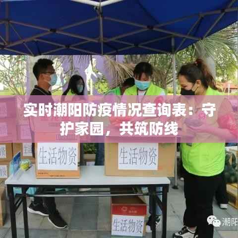 实时潮阳防疫情况查询表:守护家园,共筑防线
