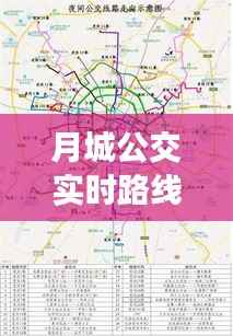 月城公交实时路线:智慧出行新体验