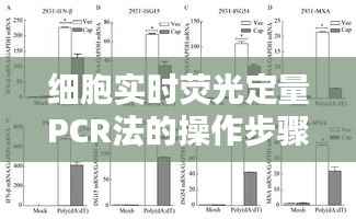 花容月貌 第3页