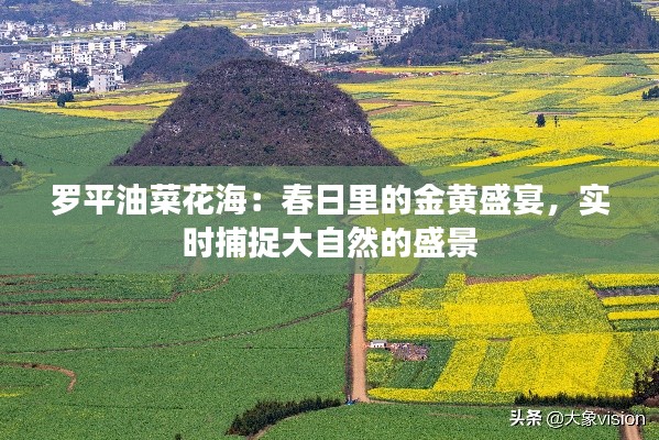 罗平油菜花海：春日里的金黄盛宴，实时捕捉大自然的盛景