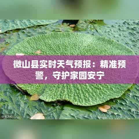 微山县实时天气预报:精准预警,守护家园安宁