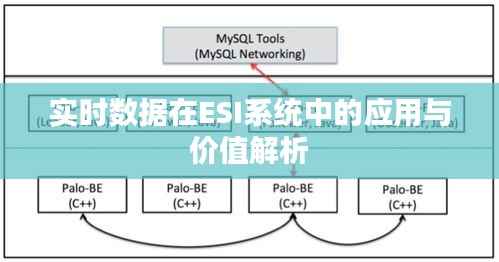实时数据在ESI系统中的应用与价值解析