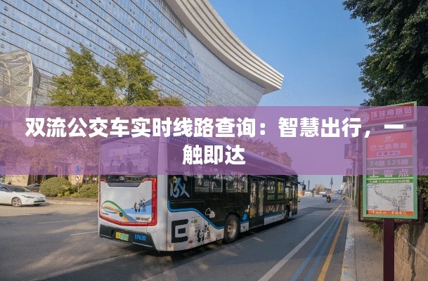 双流公交车实时线路查询:智慧出行,一触即达