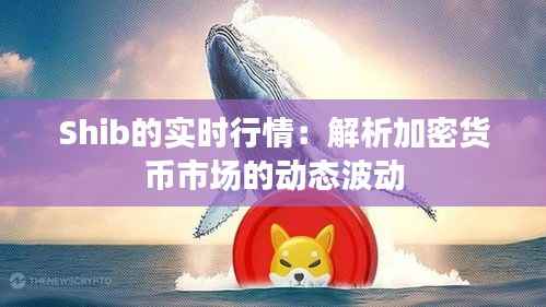 Shib的实时行情：解析加密货币市场的动态波动
