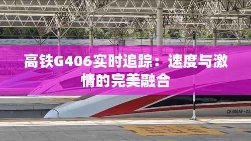 高铁G406实时追踪:速度与激情的完美融合