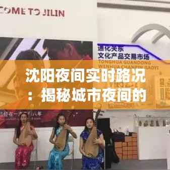 沈阳夜间实时路况:揭秘城市夜间的流动脉搏