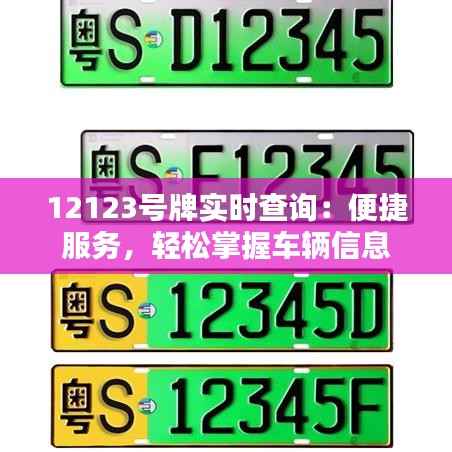 12123号牌实时查询:便捷服务,轻松掌握车辆信息