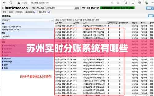 苏州实时分账系统有哪些