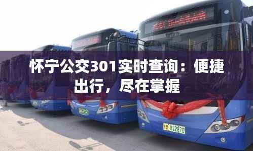 怀宁公交301实时查询:便捷出行,尽在掌握