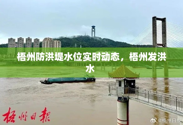 梧州防洪堤水位实时动态,梧州发洪水