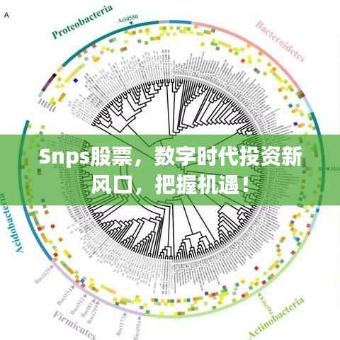 虎背熊腰 第3页
