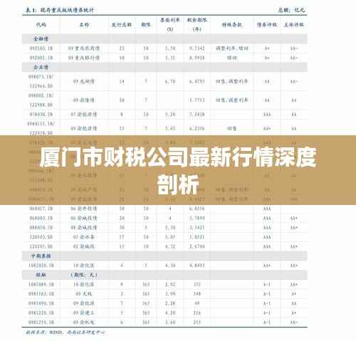 厦门市财税公司最新行情深度剖析