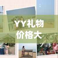 YY礼物价格大全,虚拟世界的馈赠价值解析