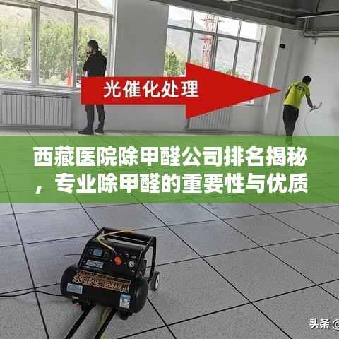 西藏医院除甲醛公司排名揭秘,专业除甲醛的重要性与优质服务选择