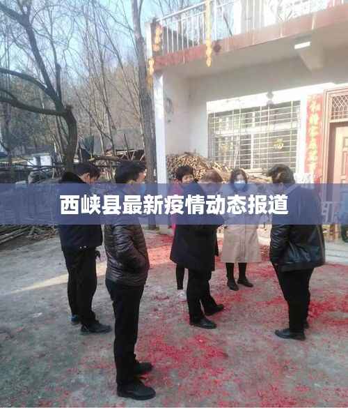 西峡县最新疫情动态报道