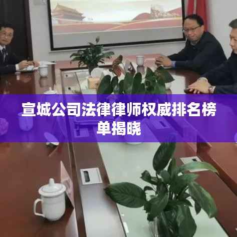 宣城公司法律律师权威排名榜单揭晓