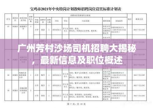 广州芳村沙场司机招聘大揭秘,最新信息及职位概述