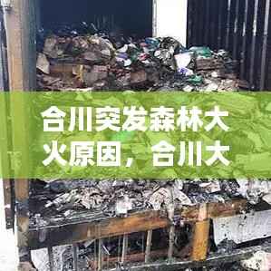 合川突发森林大火原因，合川大树起火 