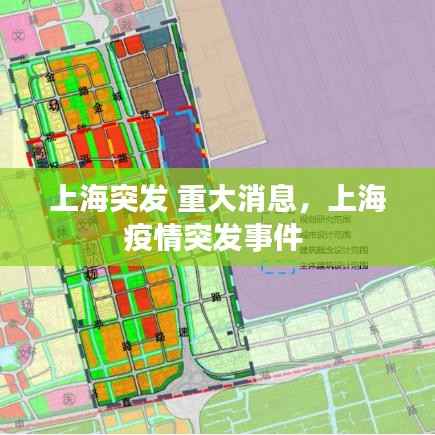 上海突发 重大消息,上海疫情突发事件